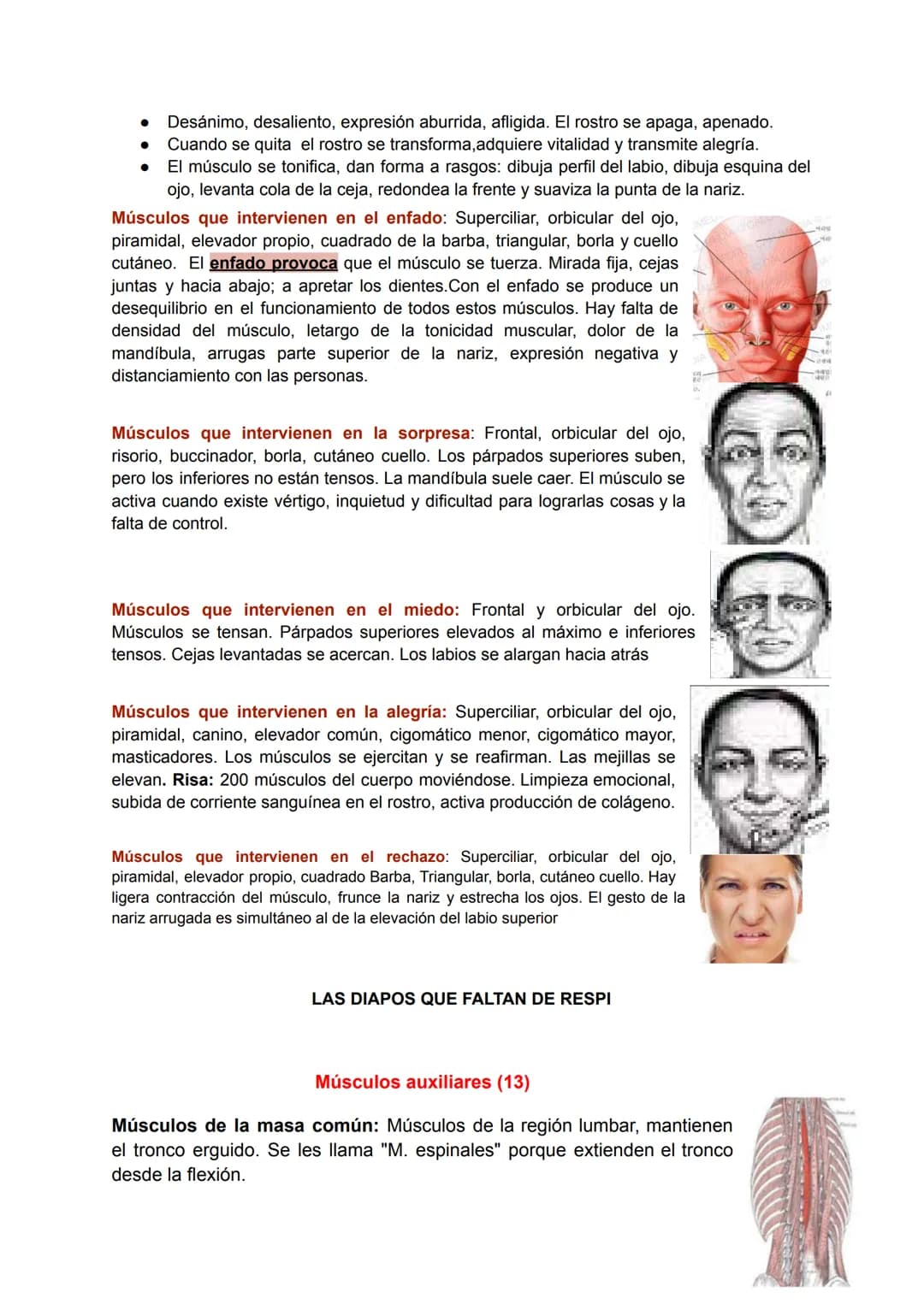 # Músculo esquelético (67)
La fuerza de una persona, hace que la energía física se convierta en mecánica.
Miología: Ciencia que estudia los