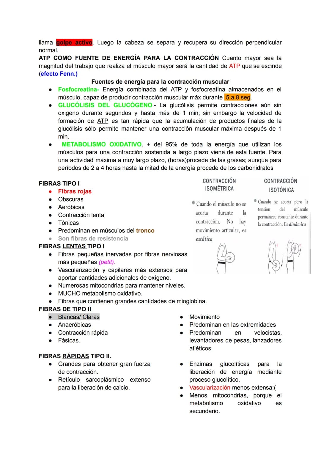 # Músculo esquelético (67)
La fuerza de una persona, hace que la energía física se convierta en mecánica.
Miología: Ciencia que estudia los