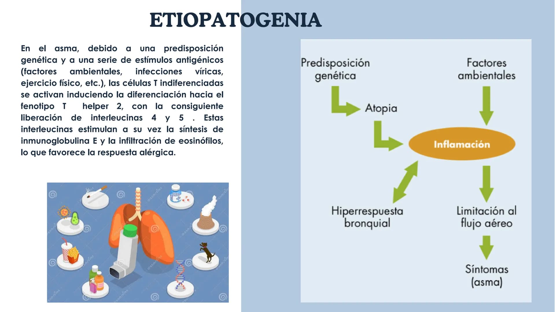 ASMA
NEUMOLOGÍA
Dra. Rocío Durán Las enfermedades
respiratorias son un desafío
global; conocerlas es clave
para prevenir y tratar
Alba Cast