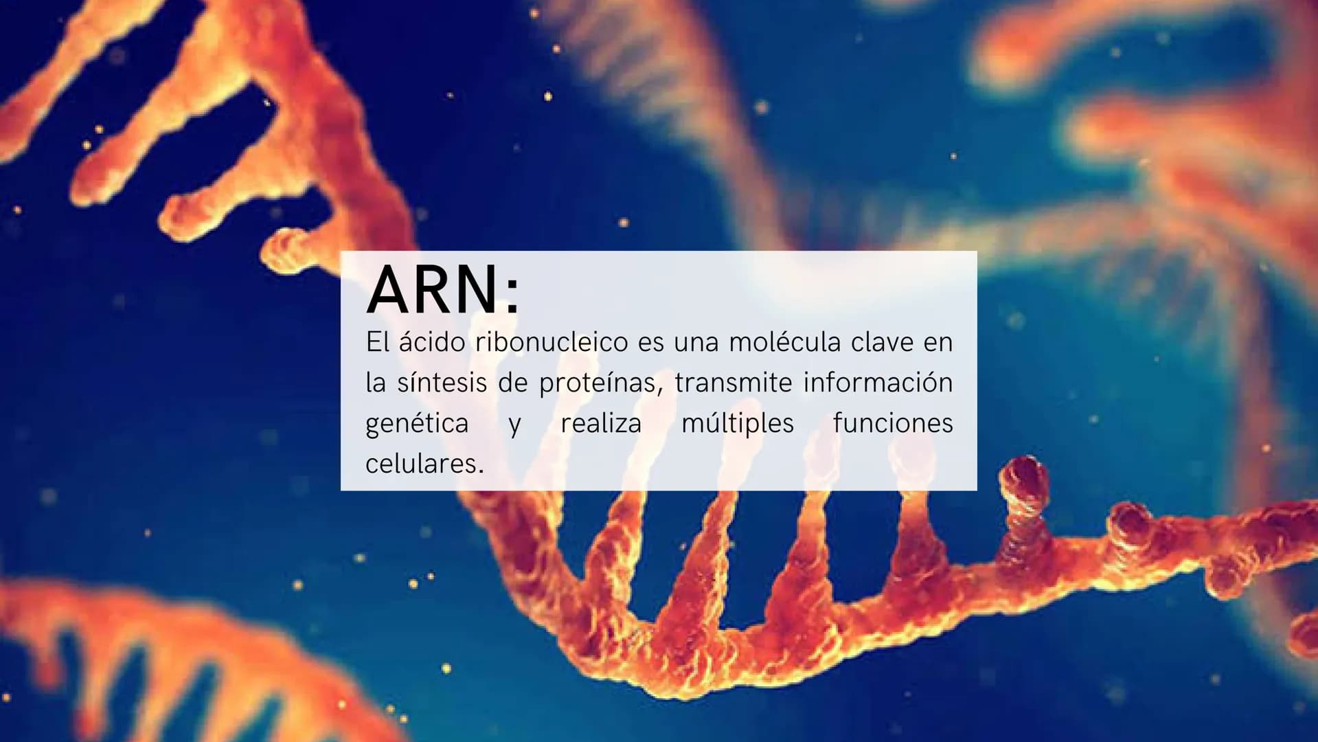 # ¿Qué son?:
Los ácidos nucleicos son biomoléculas que
almacenan y transmiten información genética
en forma de secuencias de nucleótidos. Es