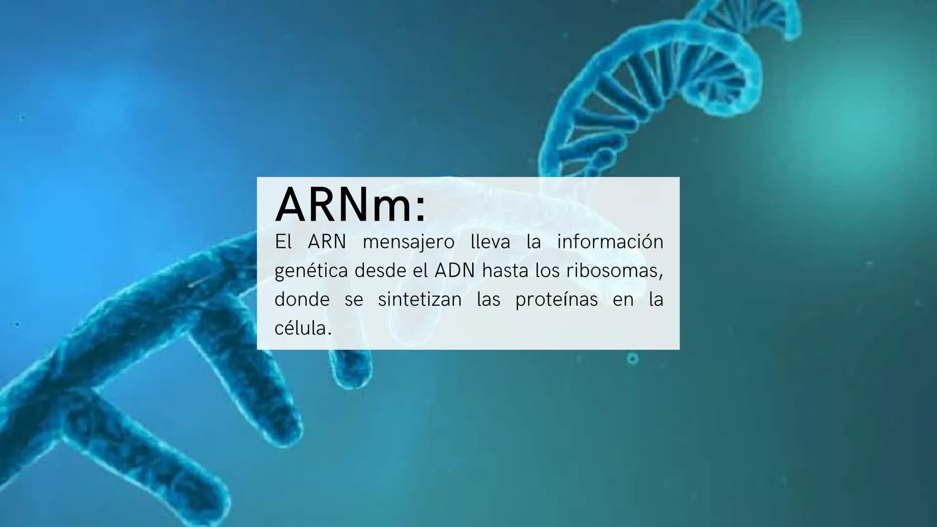 # ¿Qué son?:
Los ácidos nucleicos son biomoléculas que
almacenan y transmiten información genética
en forma de secuencias de nucleótidos. Es