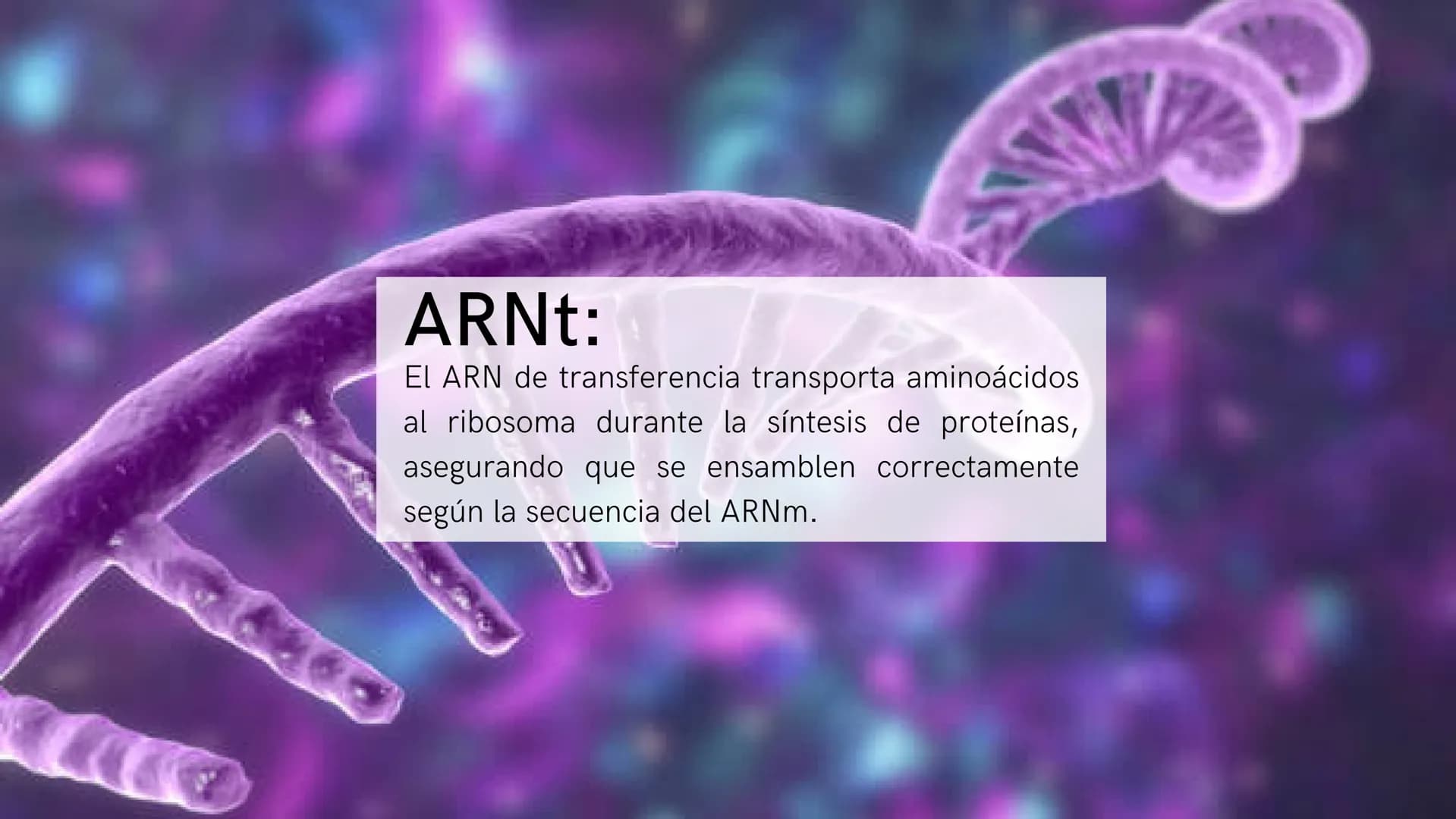 # ¿Qué son?:
Los ácidos nucleicos son biomoléculas que
almacenan y transmiten información genética
en forma de secuencias de nucleótidos. Es