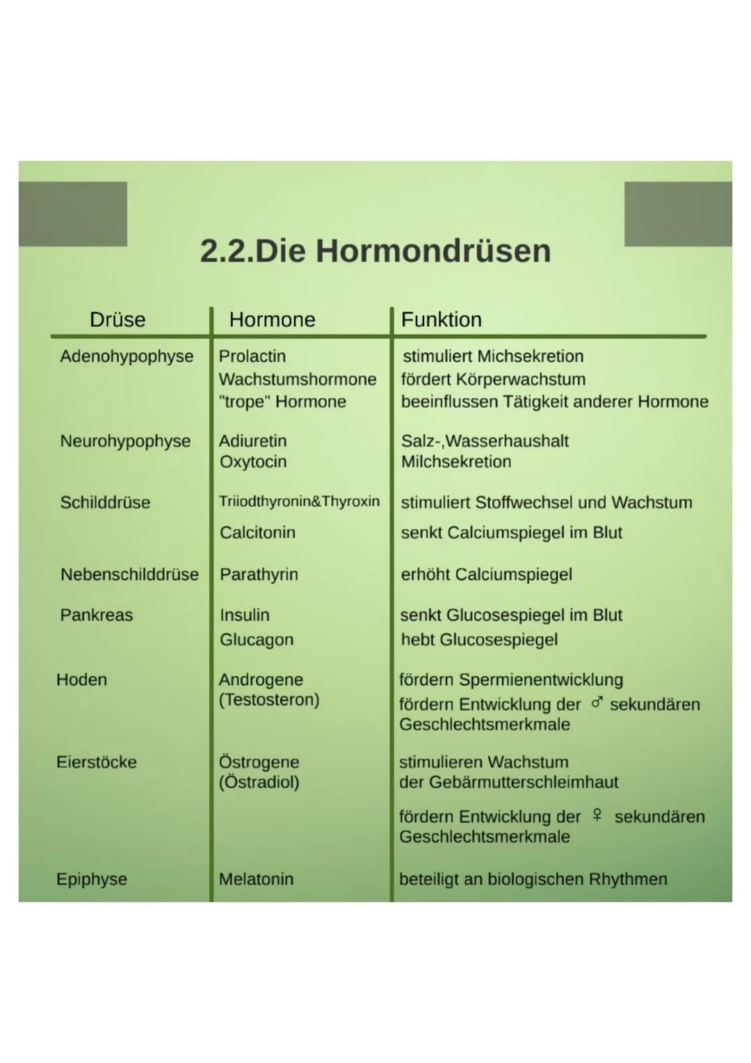 1.Hormone
1.1.Definition
-chemische Signal- und Botenstoffe
-übermitteln Informationen und
regeln wichtige Vorgänge
1.2.Klassifizierung
-U