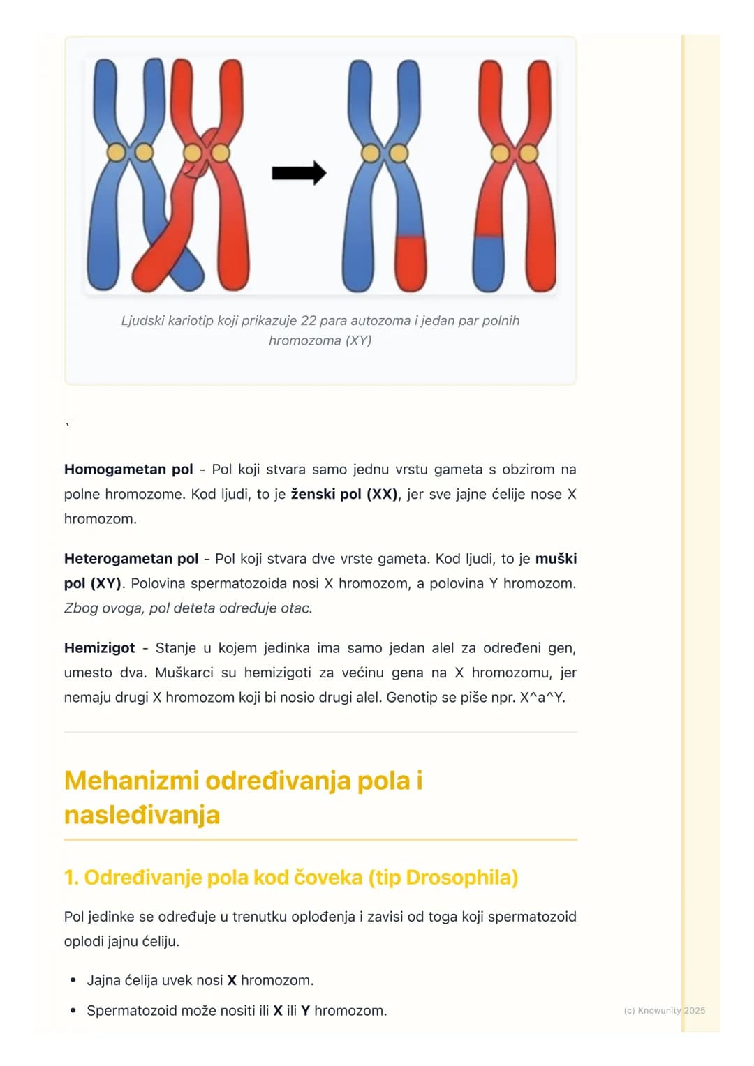 # Nasleđivanje pola i polno
vezane osobine
Uvod u nasleđivanje pola
Određivanje pola je fundamentalni biološki proces. Genetički mehanizmi