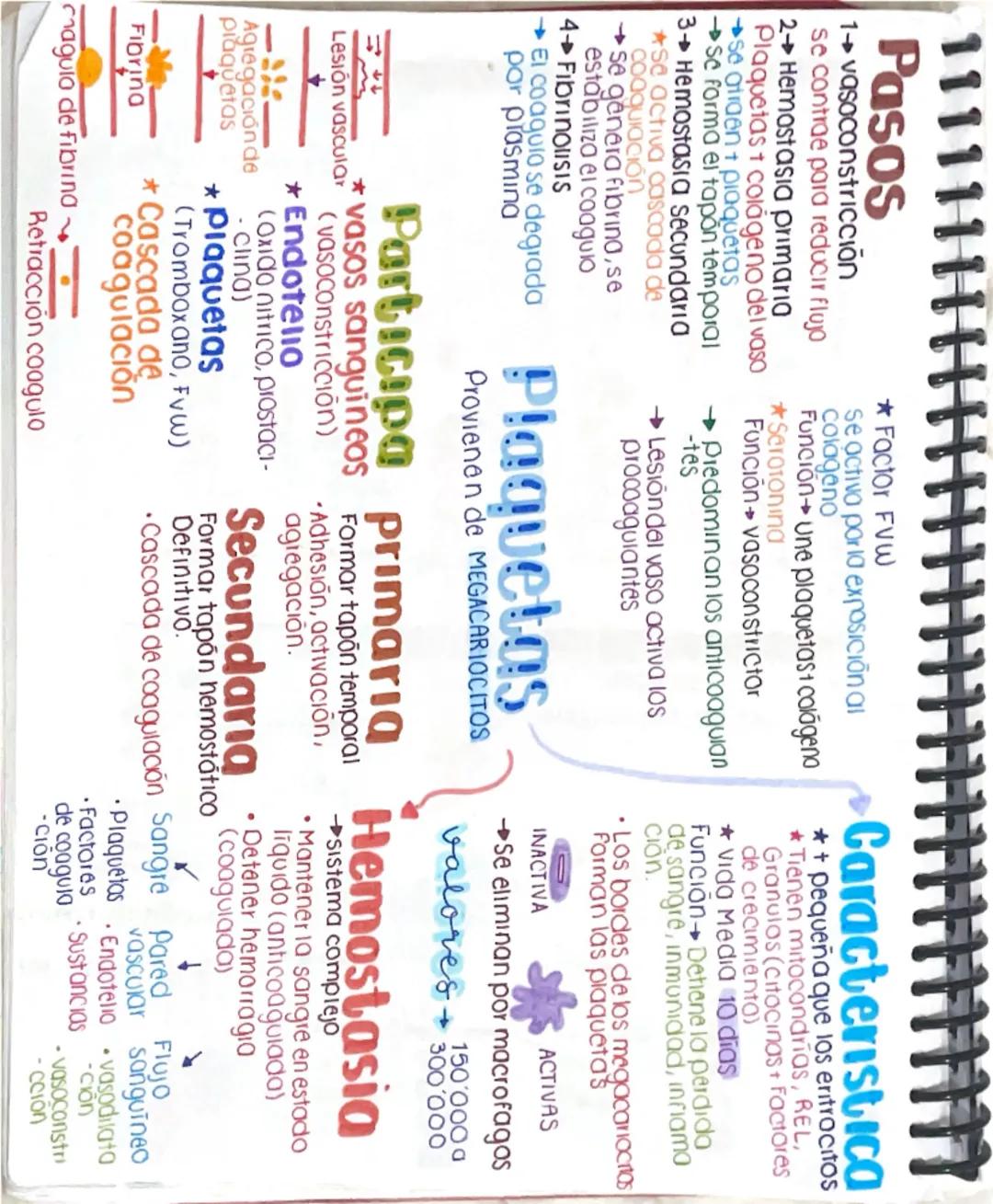# EritrocitoS7
- Discos Biconcavas
→ Posee + membrana que
contenido
→ concentran nemoglobina
19 hemoglobing→ 1.34 ml de Oz
100 ml sangr