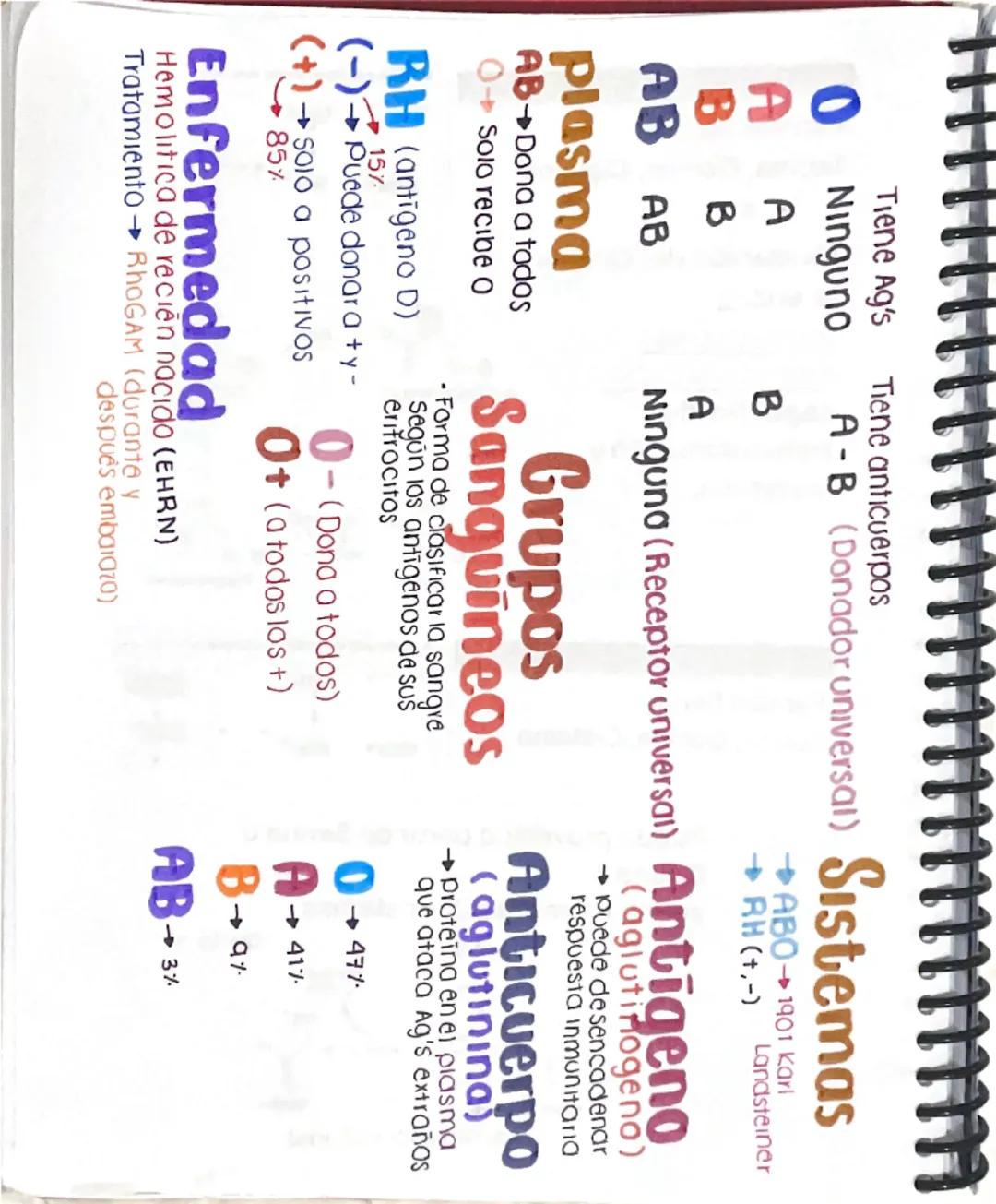 # EritrocitoS7
- Discos Biconcavas
→ Posee + membrana que
contenido
→ concentran nemoglobina
19 hemoglobing→ 1.34 ml de Oz
100 ml sangr