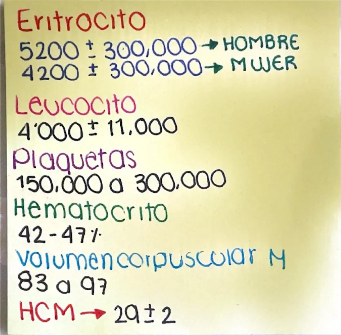 # EritrocitoS7
- Discos Biconcavas
→ Posee + membrana que
contenido
→ concentran nemoglobina
19 hemoglobing→ 1.34 ml de Oz
100 ml sangr