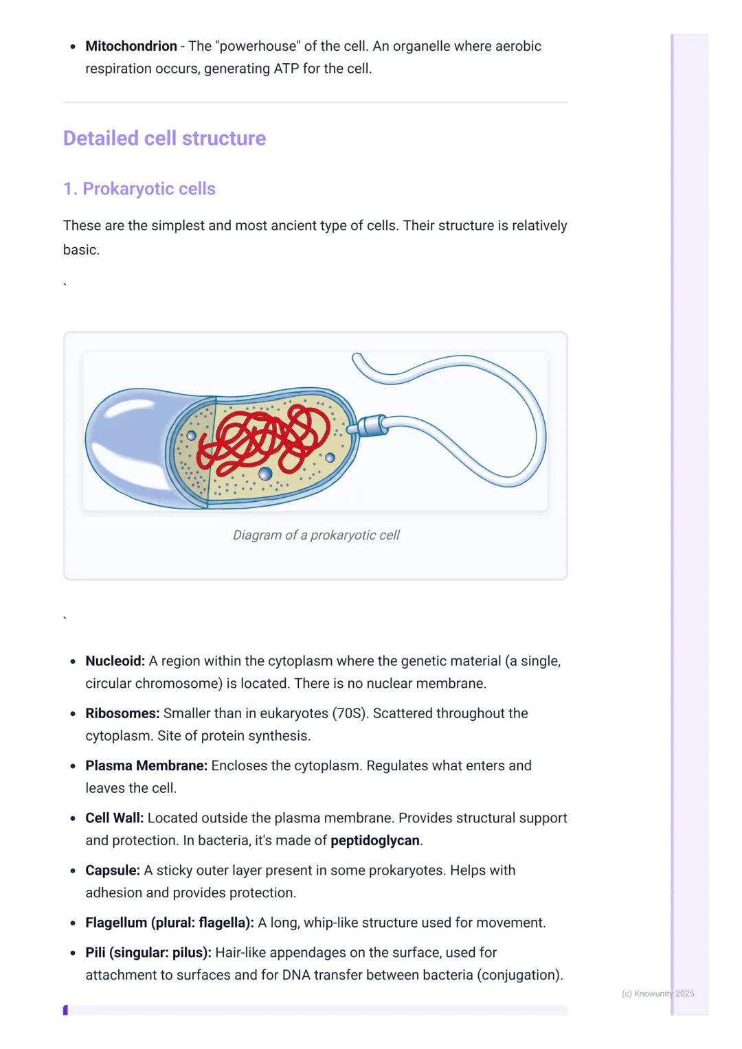 # Cell Structure and Function
Introduction to cell theory and types
The cell is the fundamental structural and functional unit of all know