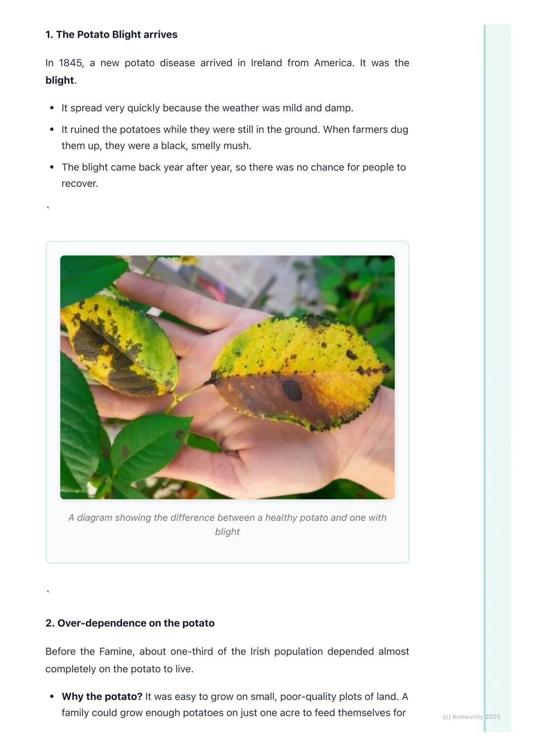 # Causes of the Famine
An introduction to the causes
The Great Famine, or An Gorta Mór, happened in Ireland between 1845 and
1852. It wasn