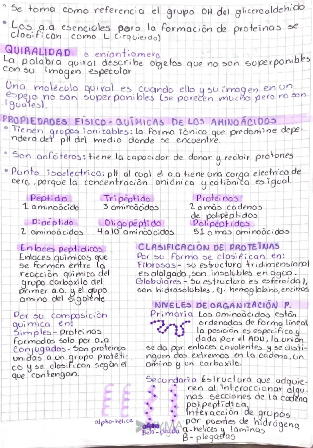 # PROTEÍNAS
ESTRUCTURA
* H-hidrogeno
* grup
$H_3N-C-COOH$ Parboxilico
1
grupo
Icarbenc
R
Definición
central
grupo R
Bio moléc