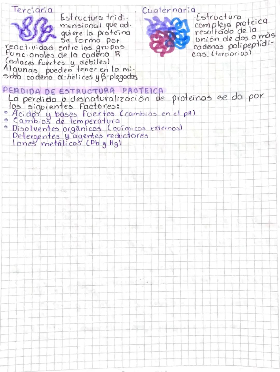 # PROTEÍNAS
ESTRUCTURA
* H-hidrogeno
* grup
$H_3N-C-COOH$ Parboxilico
1
grupo
Icarbenc
R
Definición
central
grupo R
Bio moléc