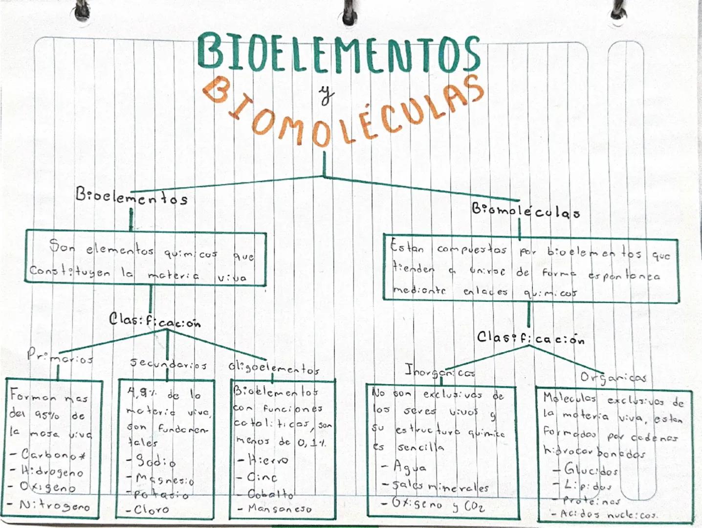 # BIOELEMENTOS
y
# BIOMOLECULAS
Bioelementos
Son elementos quimicos que
Constituyen la materia. vija
Clasificacion
Biomoléculas
Estan c