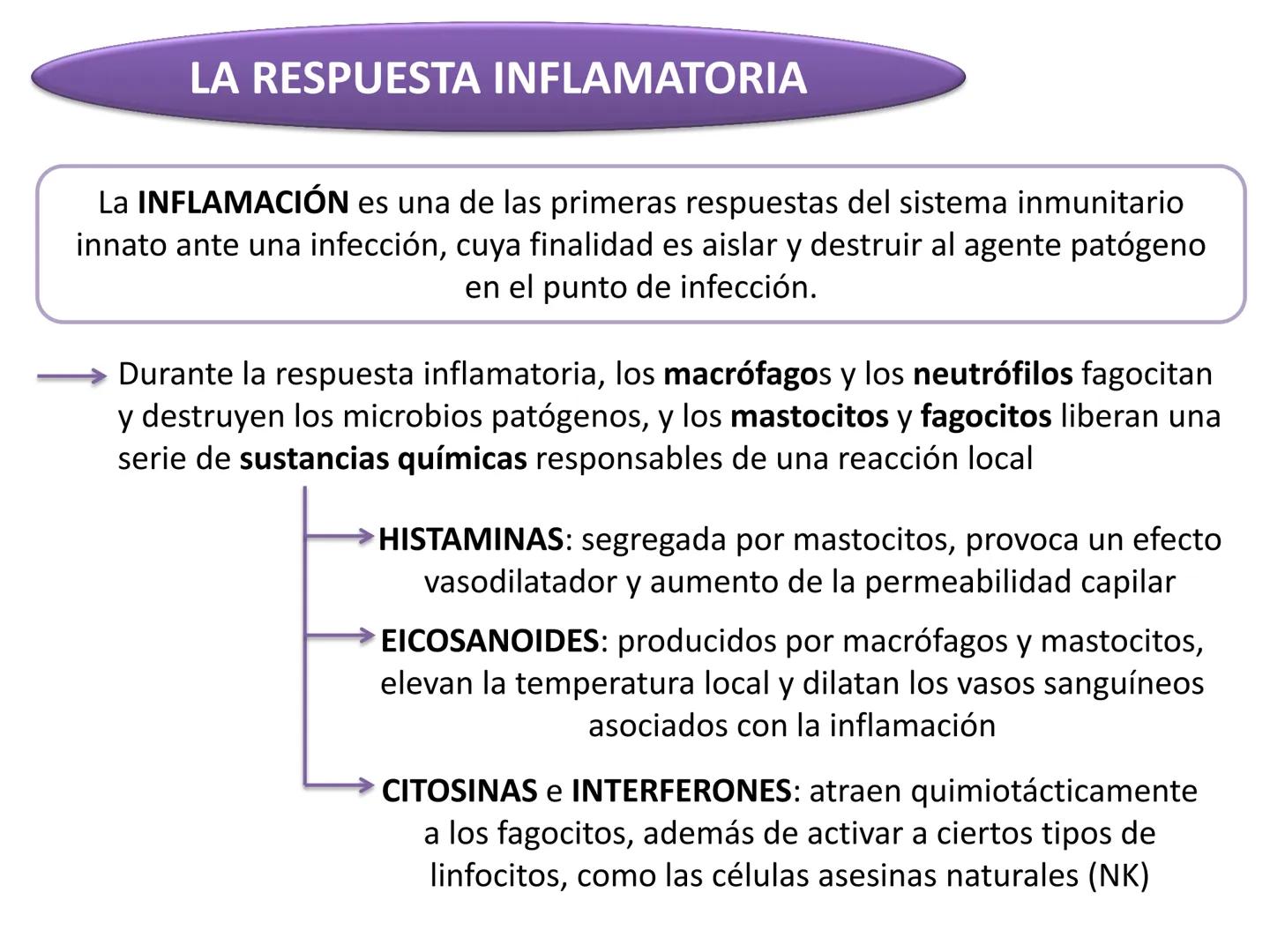 Qué vamos a estudiar...
1. EL SISTEMA INMUNE
1.1. La inmunidad y la respuesta inmune
2. EL SISTEMA INMUNITARIO INNATO
2.1. Respuesta inflama