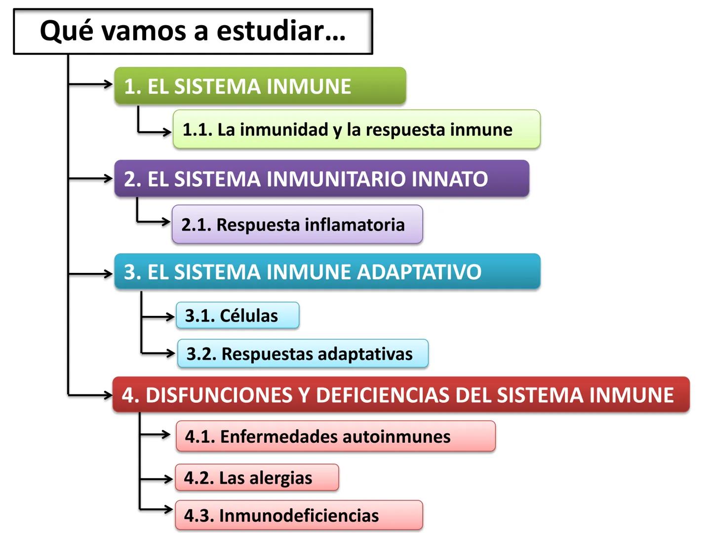 Qué vamos a estudiar...
1. EL SISTEMA INMUNE
1.1. La inmunidad y la respuesta inmune
2. EL SISTEMA INMUNITARIO INNATO
2.1. Respuesta inflama