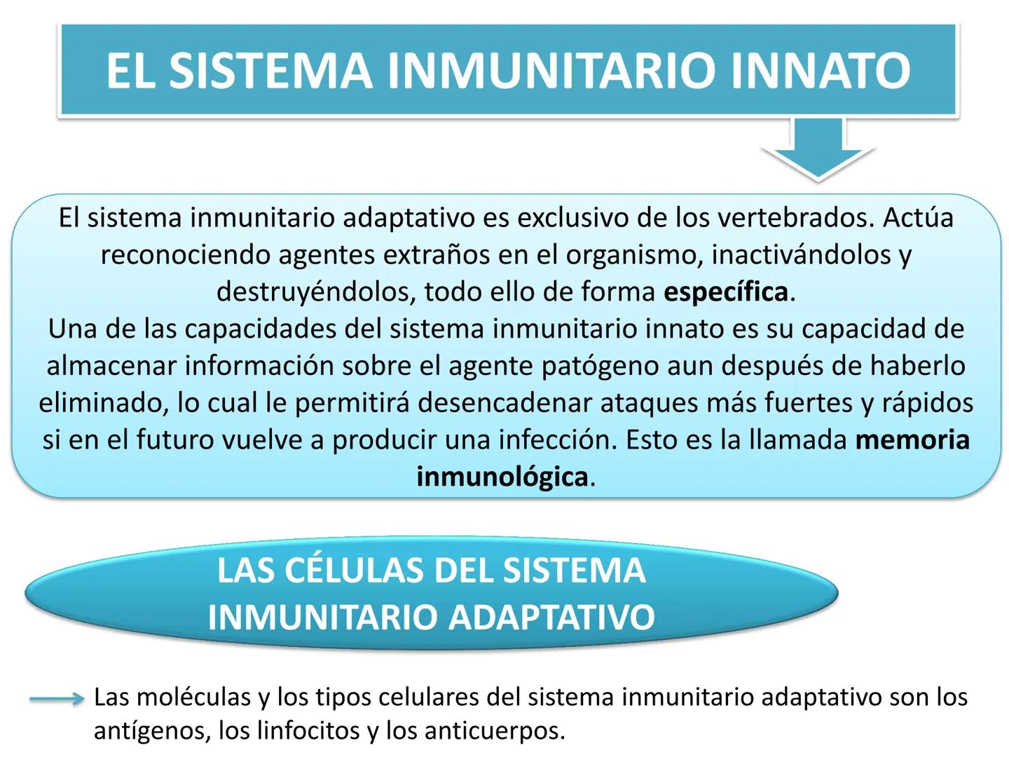 Qué vamos a estudiar...
1. EL SISTEMA INMUNE
1.1. La inmunidad y la respuesta inmune
2. EL SISTEMA INMUNITARIO INNATO
2.1. Respuesta inflama