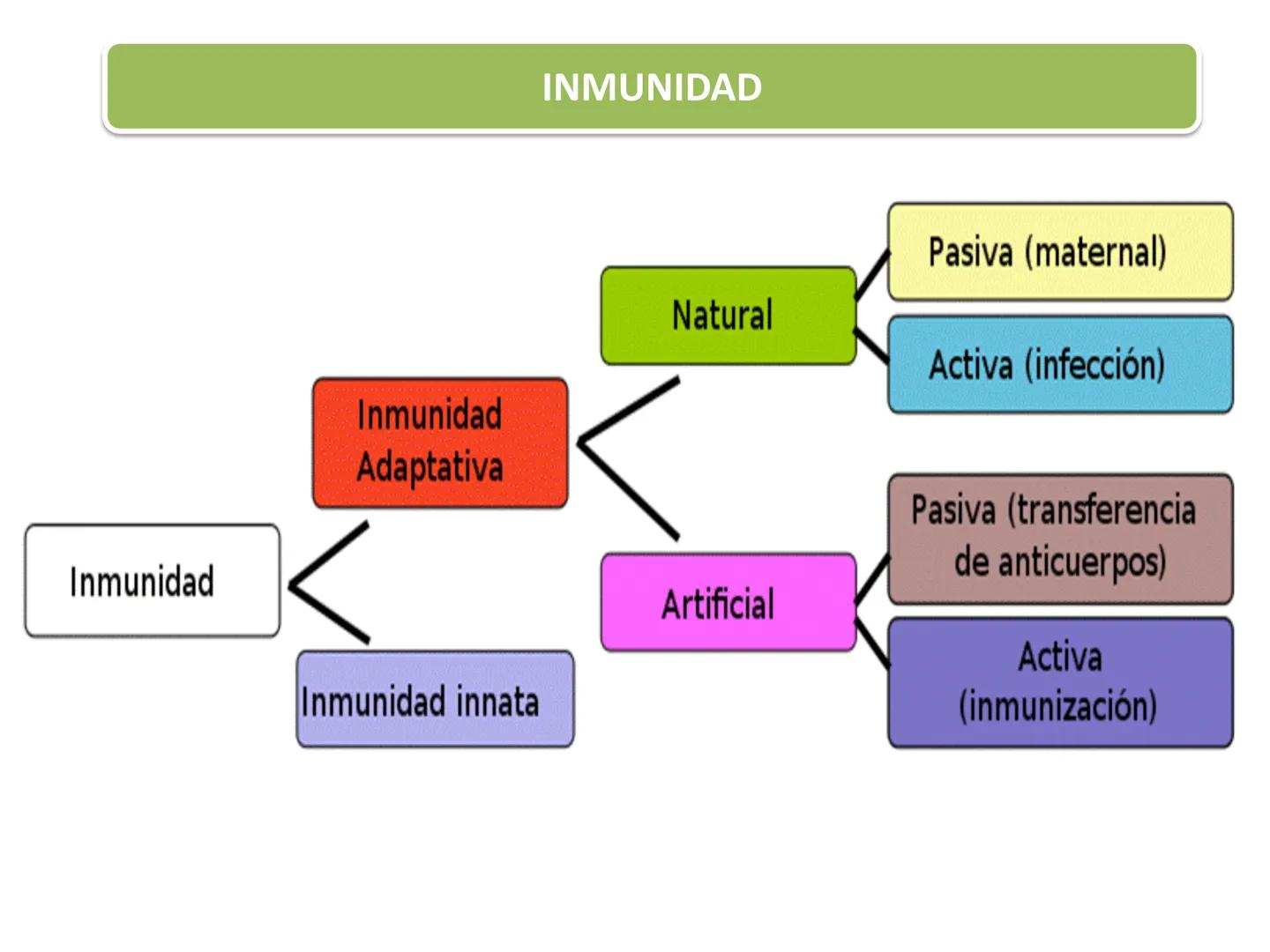 Qué vamos a estudiar...
1. EL SISTEMA INMUNE
1.1. La inmunidad y la respuesta inmune
2. EL SISTEMA INMUNITARIO INNATO
2.1. Respuesta inflama