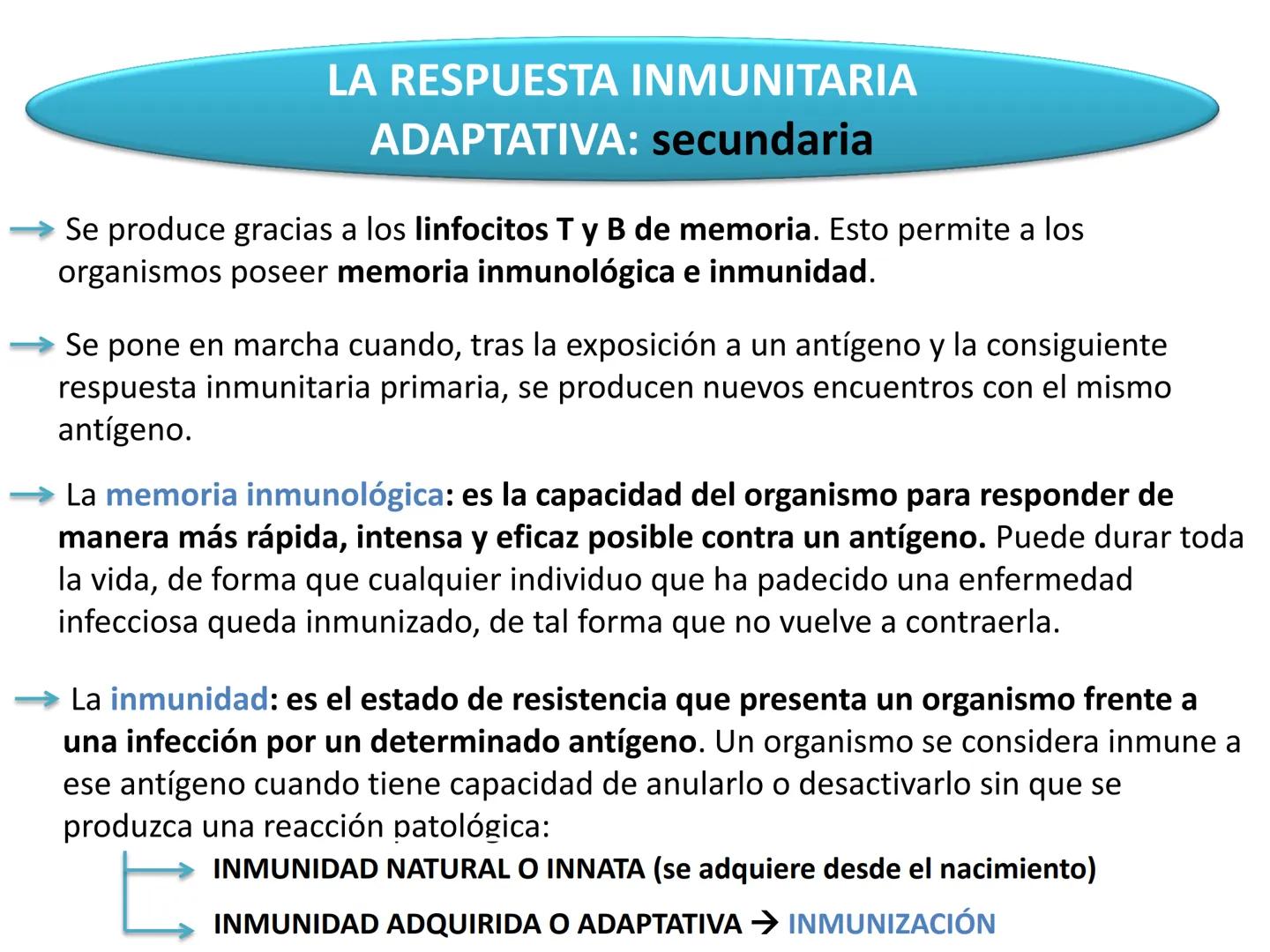 Qué vamos a estudiar...
1. EL SISTEMA INMUNE
1.1. La inmunidad y la respuesta inmune
2. EL SISTEMA INMUNITARIO INNATO
2.1. Respuesta inflama