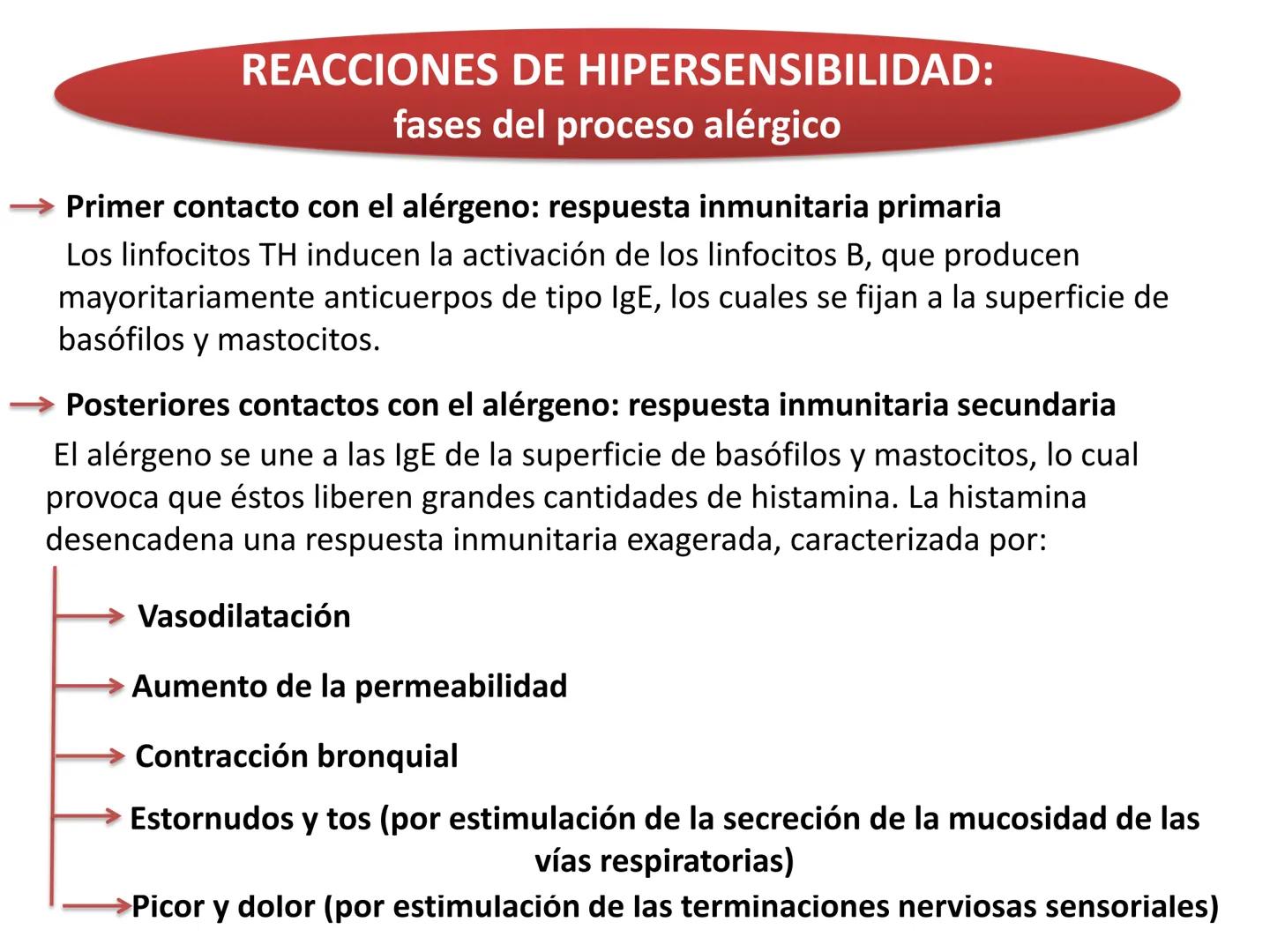 Qué vamos a estudiar...
1. EL SISTEMA INMUNE
1.1. La inmunidad y la respuesta inmune
2. EL SISTEMA INMUNITARIO INNATO
2.1. Respuesta inflama