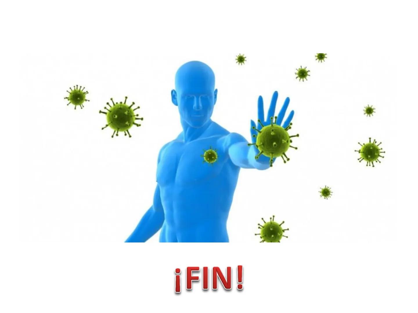 Qué vamos a estudiar...
1. EL SISTEMA INMUNE
1.1. La inmunidad y la respuesta inmune
2. EL SISTEMA INMUNITARIO INNATO
2.1. Respuesta inflama