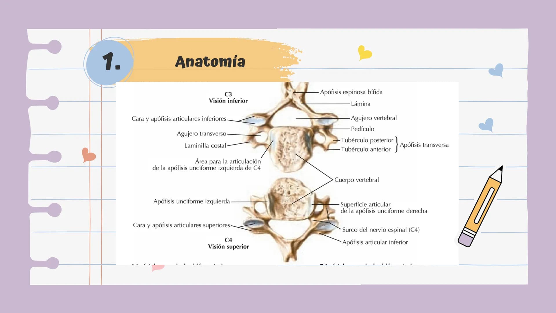 # Introducción
Es una lesión del disco intervertebral, donde el núcleo pulposo al prolapsarse a través del anillo, fibroso, produce un cuadr