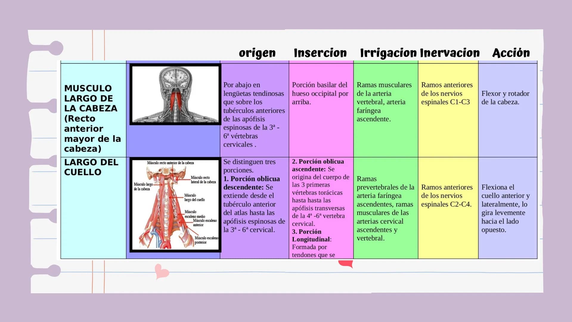 # Introducción
Es una lesión del disco intervertebral, donde el núcleo pulposo al prolapsarse a través del anillo, fibroso, produce un cuadr