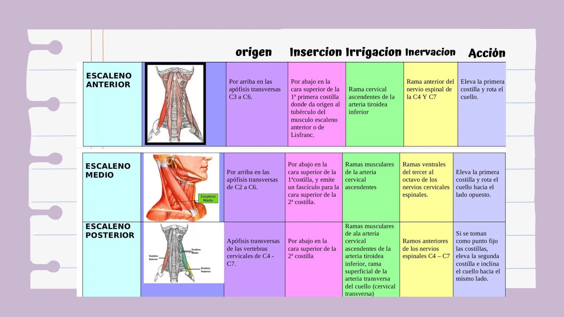 # Introducción
Es una lesión del disco intervertebral, donde el núcleo pulposo al prolapsarse a través del anillo, fibroso, produce un cuadr