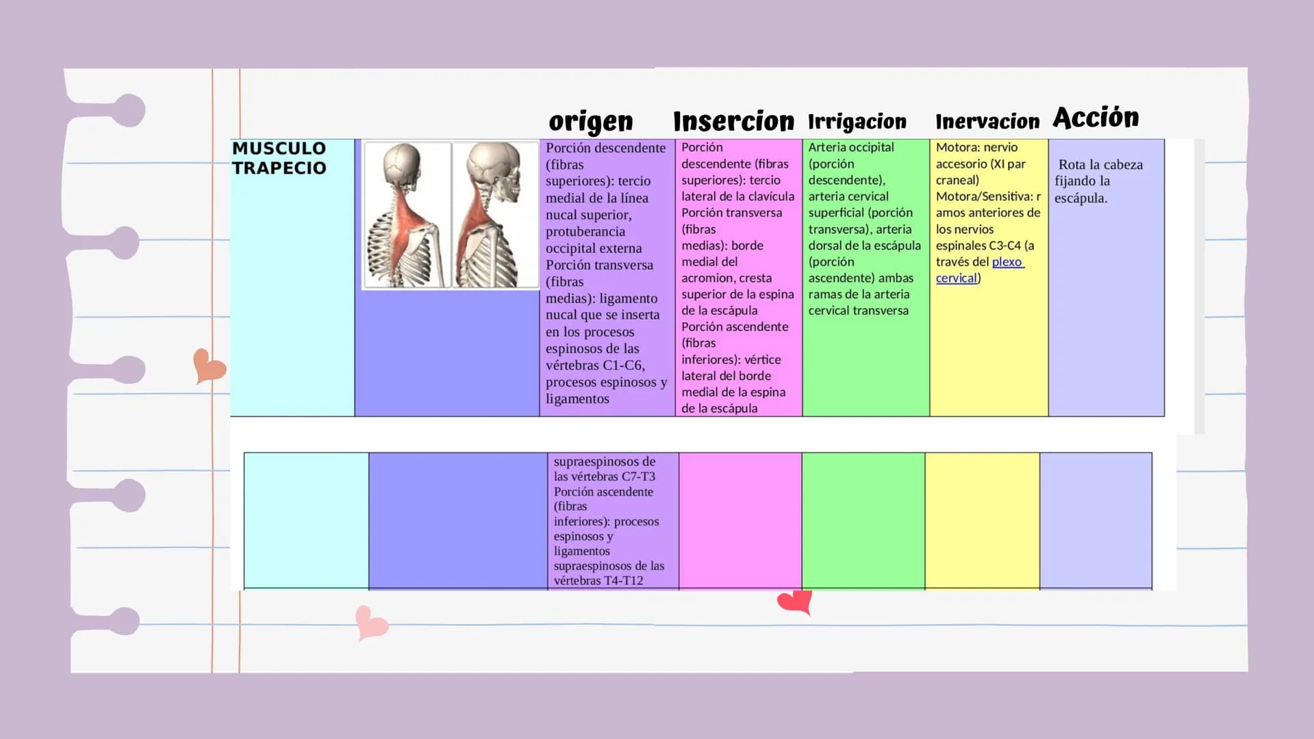# Introducción
Es una lesión del disco intervertebral, donde el núcleo pulposo al prolapsarse a través del anillo, fibroso, produce un cuadr