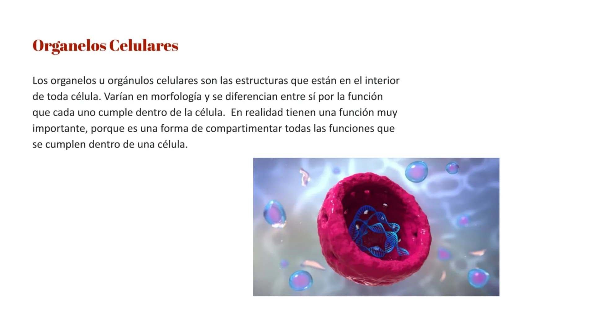 # Átomo
Los niveles organización biológica o jerarquía de la vida, es la jerarquía de estructuras y sistemas biológicos complejos que define