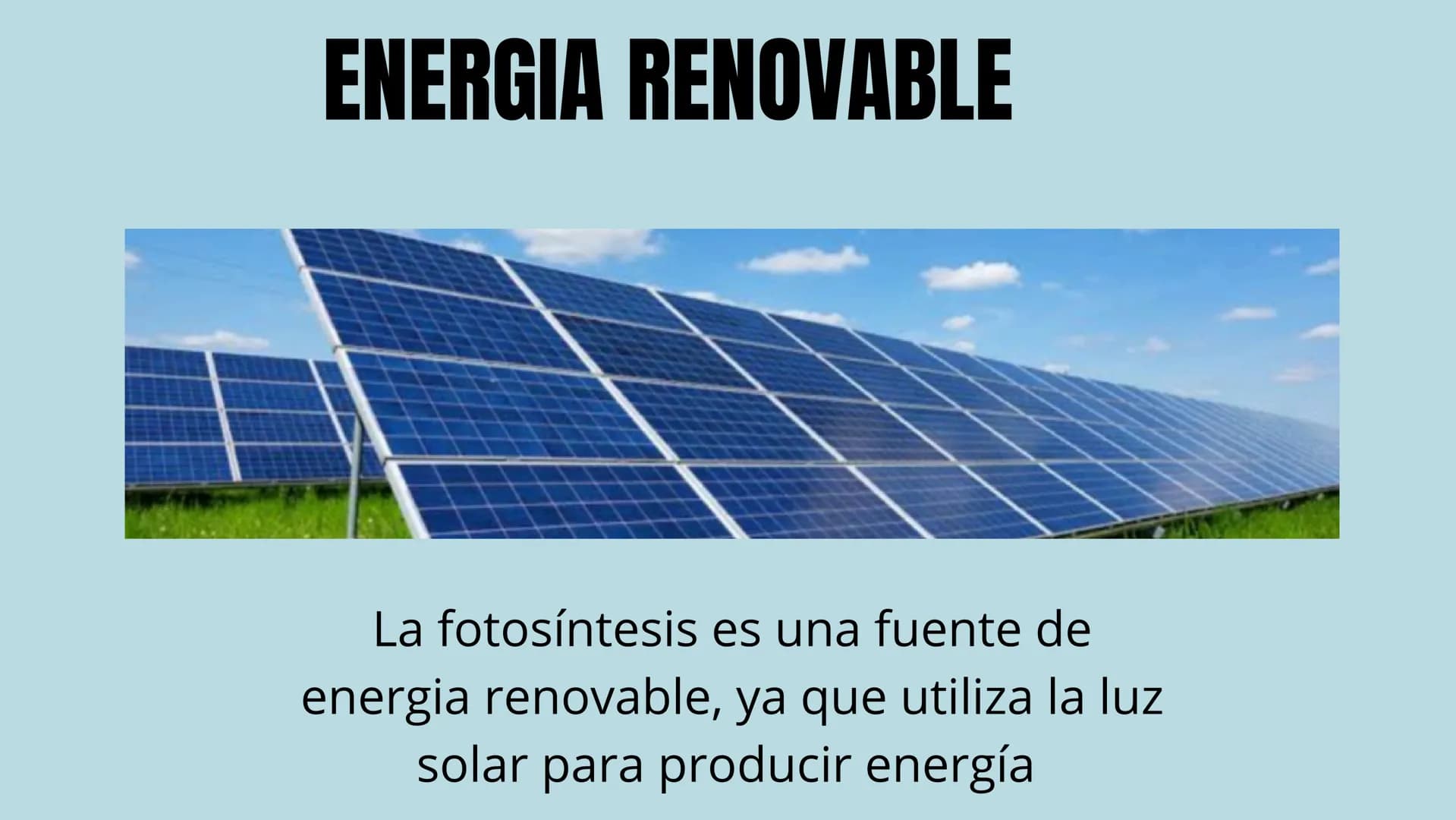 "FOTOSINTESIS"
DE LA LUZ SOLAR A LA VIDA
en la tierra La fotosíntesis es el proceso
por el cual las plantas, algas y algunas
bacterias convi