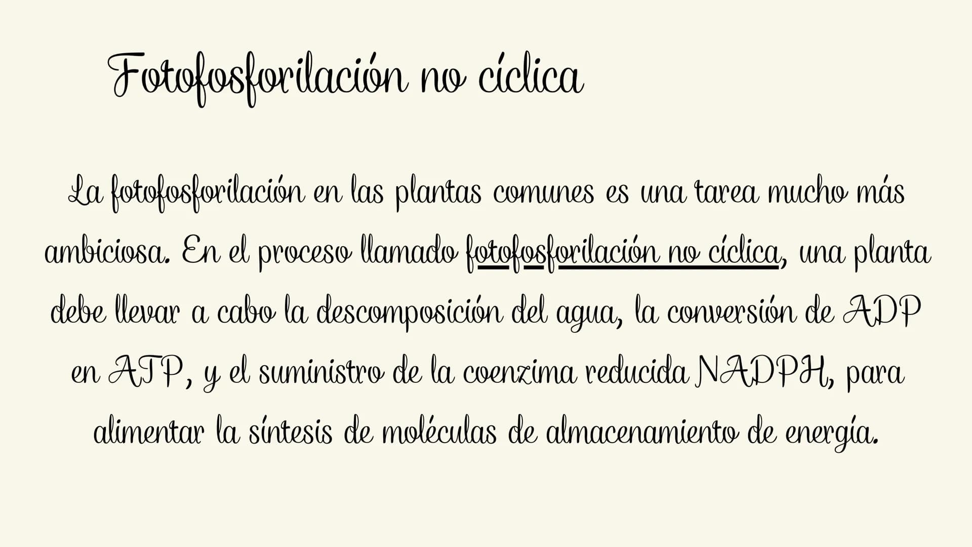 # Etapas:
* Fotoexcitación de la clorofila
* Fotolisis del agua
* Fotorreducción de NADP
* Fotofosforilaciión ¿Que es la fase luminosa?
La