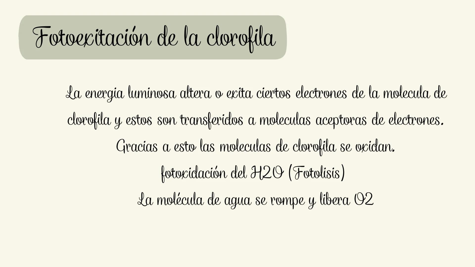 # Etapas:
* Fotoexcitación de la clorofila
* Fotolisis del agua
* Fotorreducción de NADP
* Fotofosforilaciión ¿Que es la fase luminosa?
La