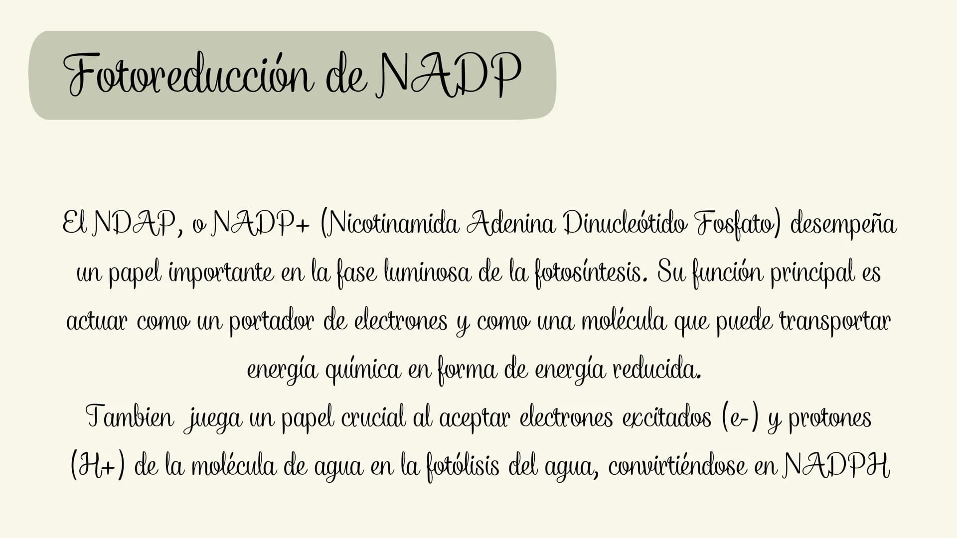 # Etapas:
* Fotoexcitación de la clorofila
* Fotolisis del agua
* Fotorreducción de NADP
* Fotofosforilaciión ¿Que es la fase luminosa?
La