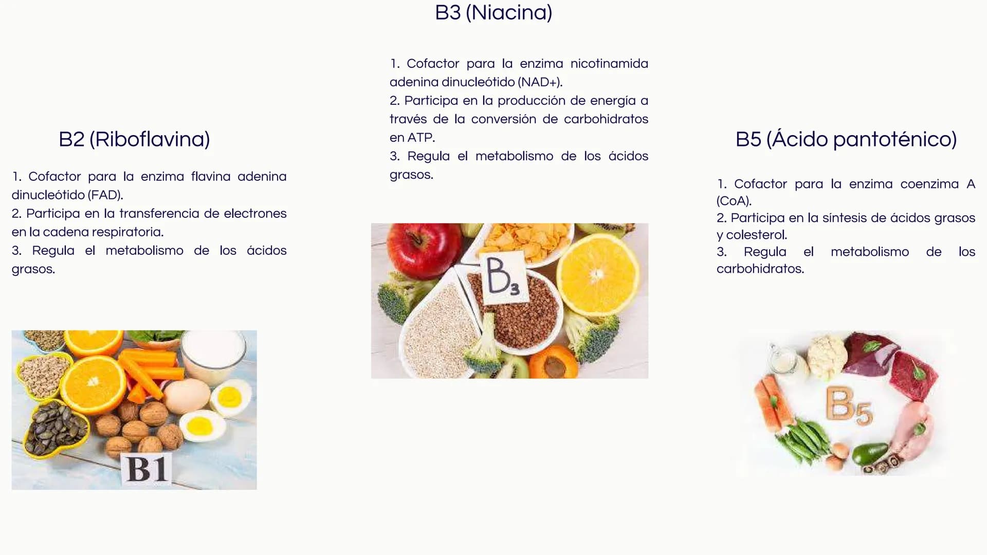 # Introducción
Las vitaminas y minerales son nutrientes esenciales
que desempeñan roles cruciales en el
funcionamiento del organismo humano.