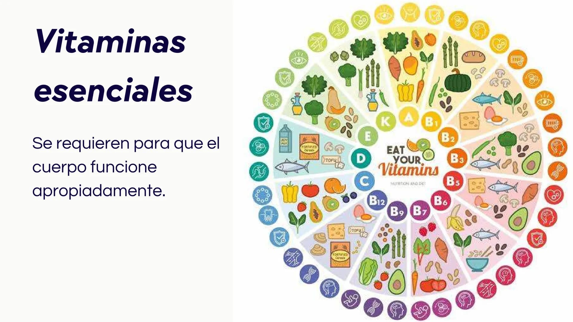 # Introducción
Las vitaminas y minerales son nutrientes esenciales
que desempeñan roles cruciales en el
funcionamiento del organismo humano.