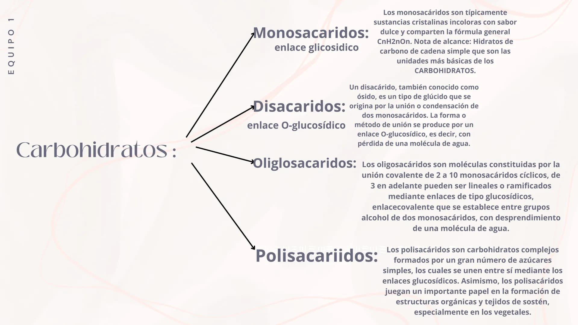 Clasificación de los carbohidratos – página 4