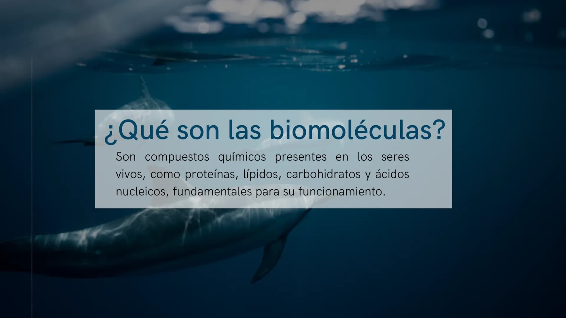 ¿Qué son las biomoléculas?
Son compuestos químicos presentes en los seres
vivos, como proteínas, lípidos, carbohidratos y ácidos
nucleicos,
