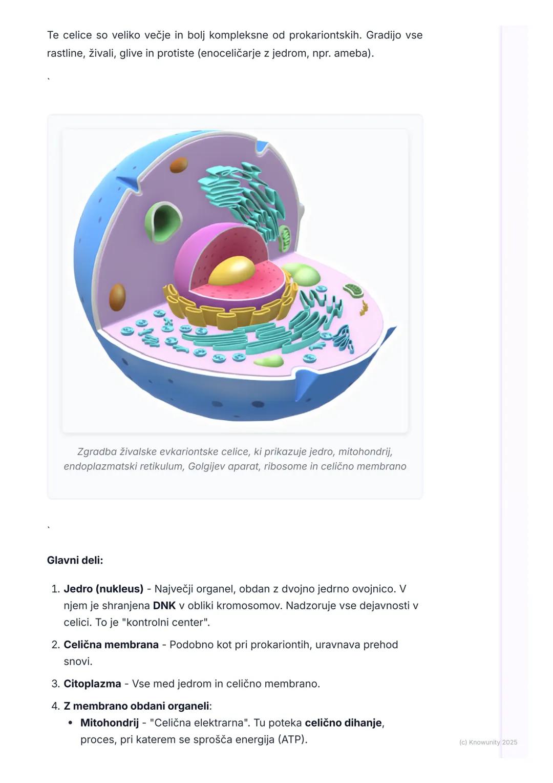 # Zgradba prokariontske in
evkariontske celice
Uvod in osnovni pojmi
Vse živo je zgrajeno iz celic. Celica je osnovna gradbena in delovna