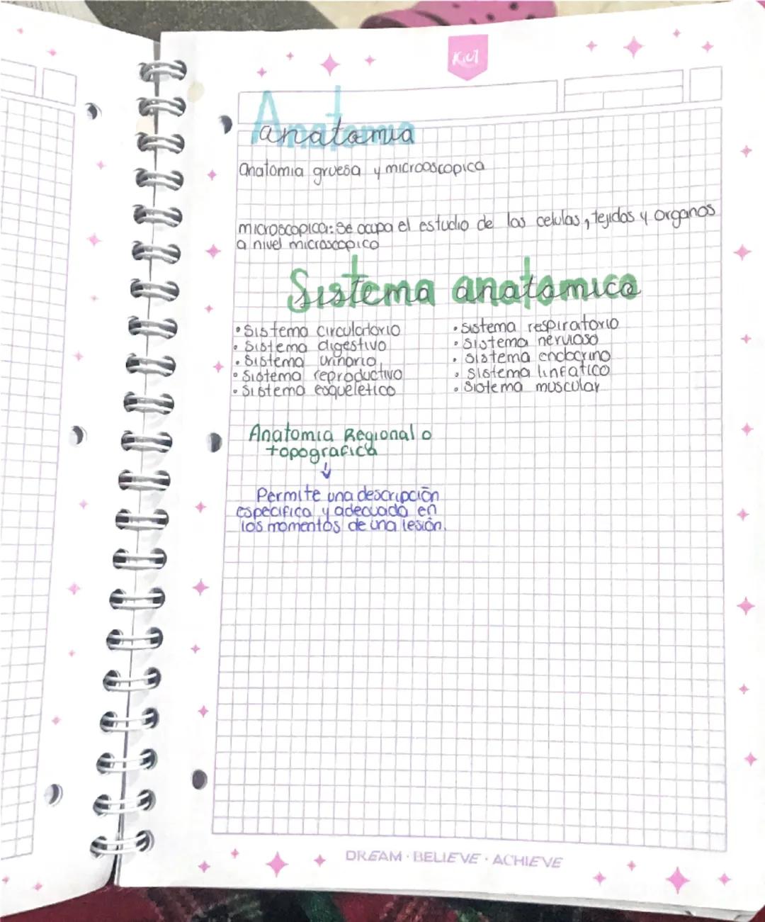Kul
modulo.1
La inovación distingue a los lideres de los seguidores
Objetivec
Dotar los proveedores del APH
Analizar los objetivos de la