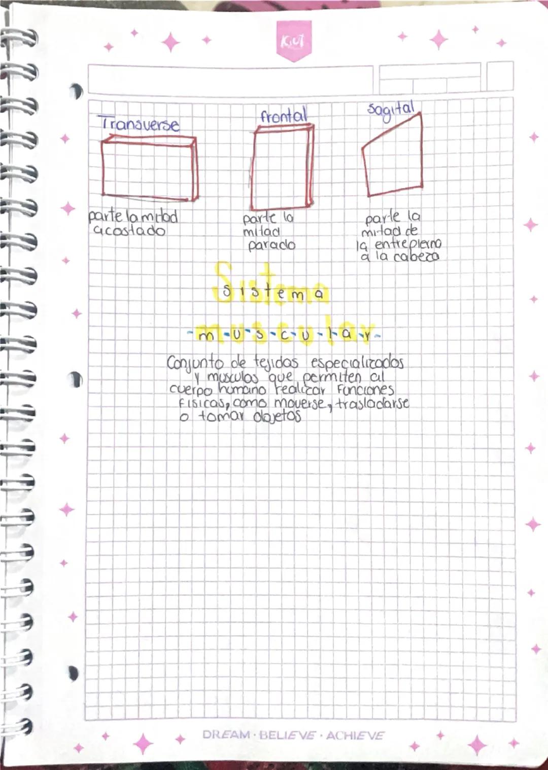 Kul
modulo.1
La inovación distingue a los lideres de los seguidores
Objetivec
Dotar los proveedores del APH
Analizar los objetivos de la