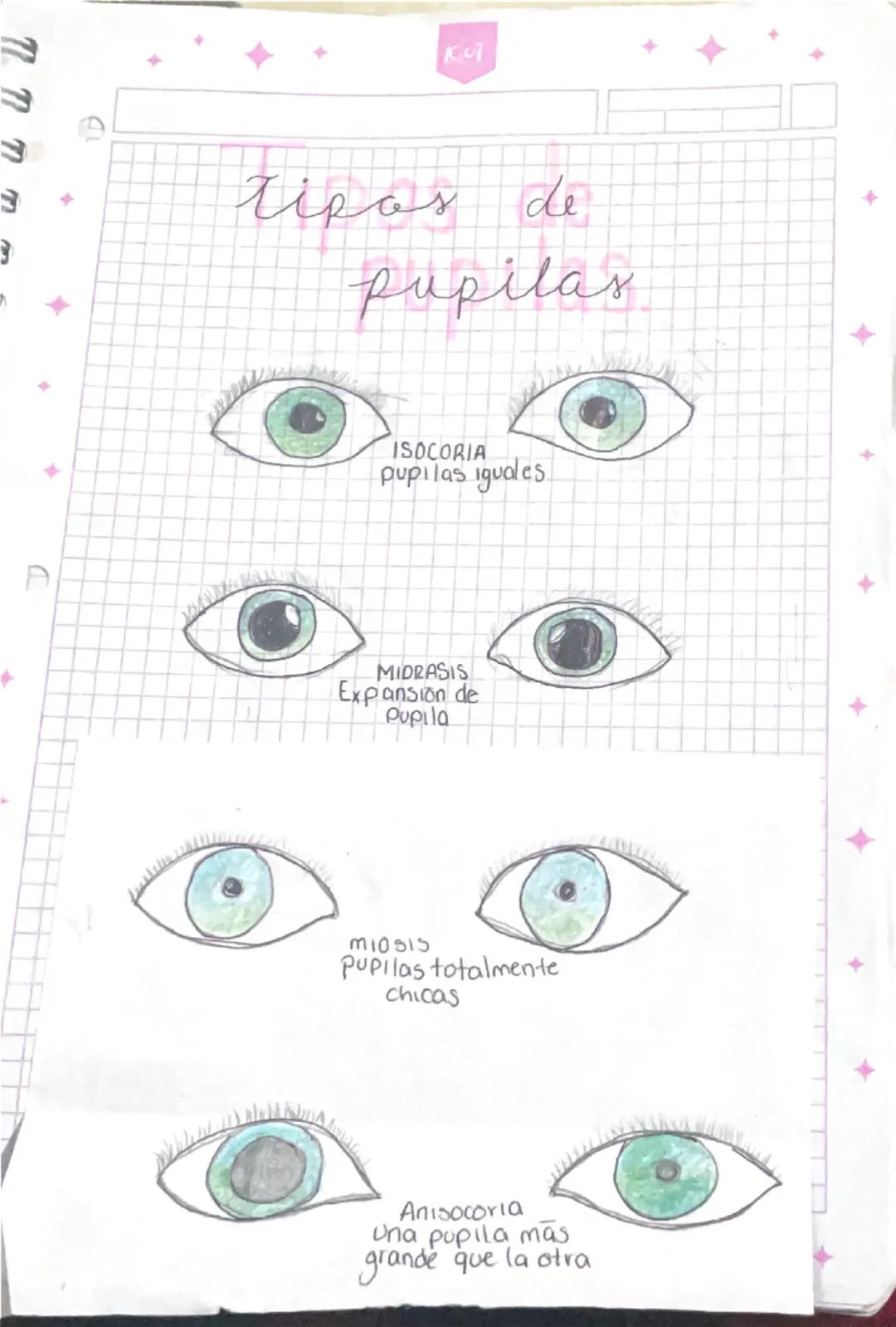 Kul
modulo.1
La inovación distingue a los lideres de los seguidores
Objetivec
Dotar los proveedores del APH
Analizar los objetivos de la